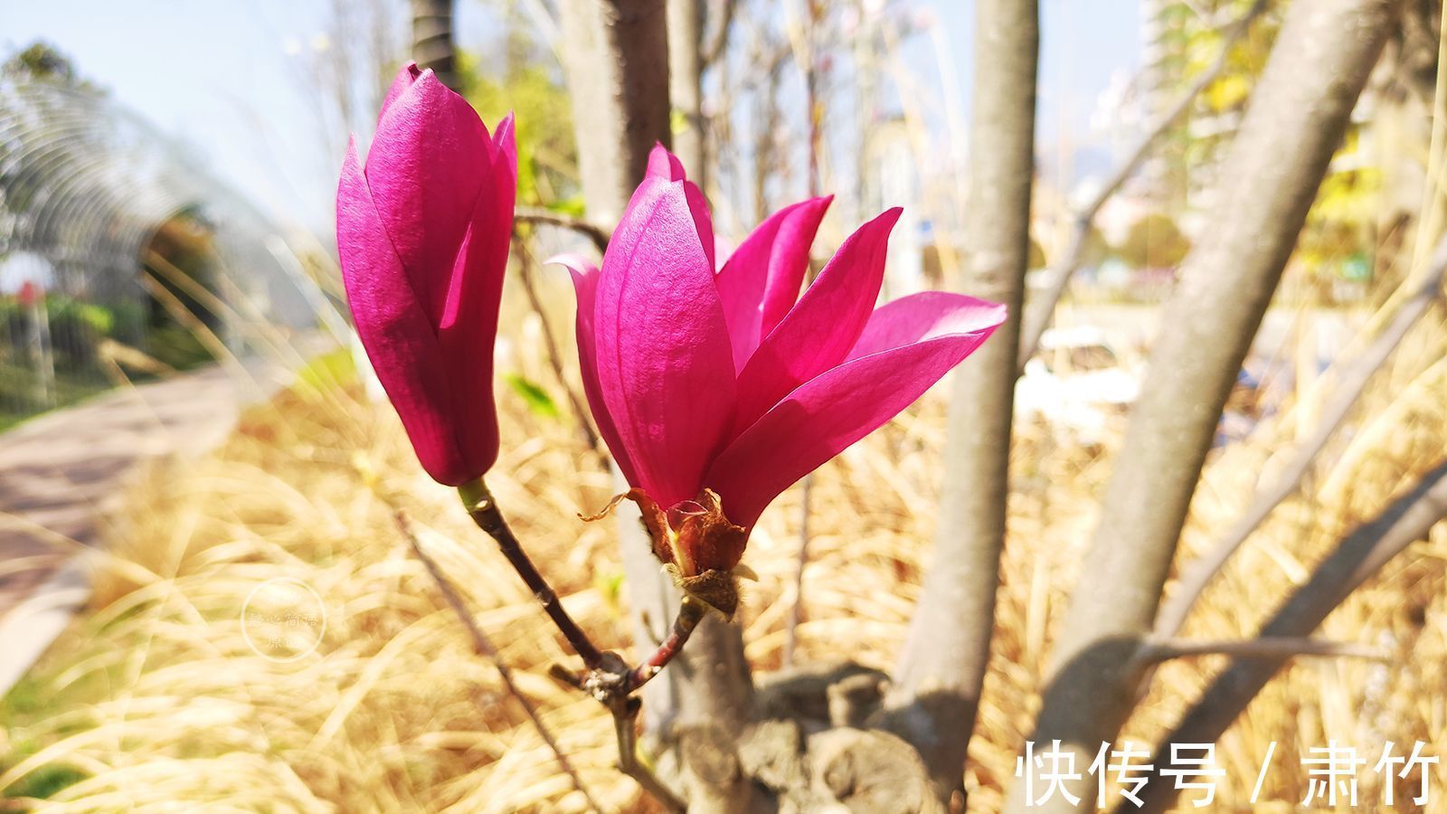 邂逅@一次无意的邂逅,便有了一段爱情