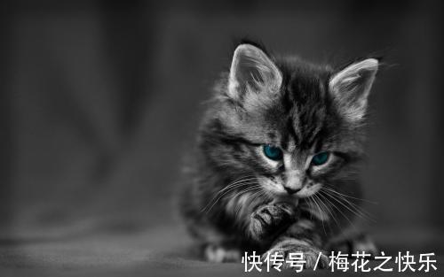 |幽默笑话：老婆是家中的独女，当年老丈人一直在让老婆练习跆拳道