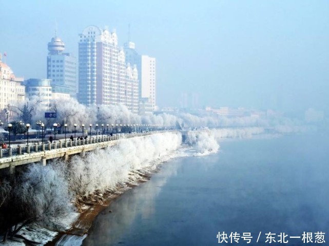 这些神兽来头大:左青龙右白虎前朱雀后玄武,代表着什么?