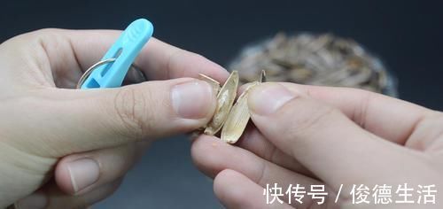 瓜子|剥瓜子有诀窍,不用手剥不用嘴嗑,一分钟就能剥一大碗,涨知识了