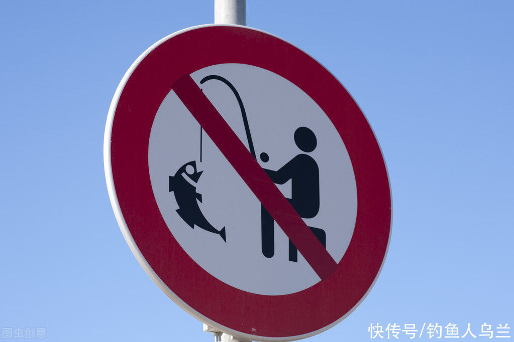 长江|长江将允许娱乐垂钓,但有4点要牢记,别让钓鱼变成非法手段