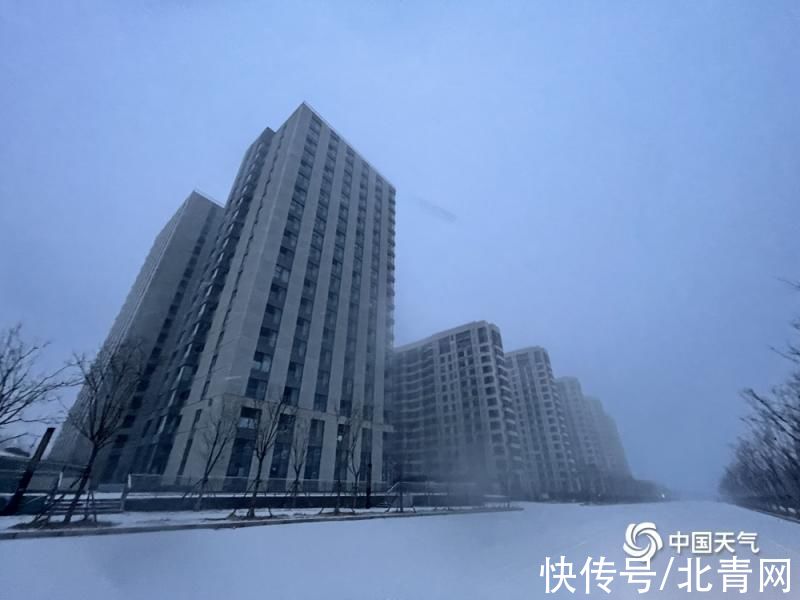 雪花|北京迎虎年首场雪 雪花纷飞银装素裹