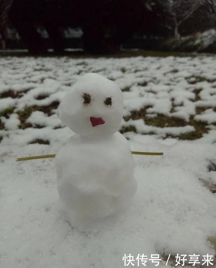 南方下雪都是这么兴奋的。网友直呼“被你们玩坏了”!