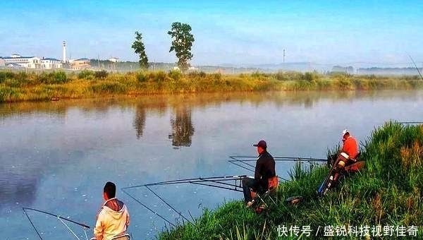 钓友|别人上鱼你不上鱼,埋怨根本没用,运用这3个技巧,钓到鱼不难