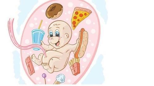 红肉|让胎儿更聪明的4样食物,核桃竟落榜了