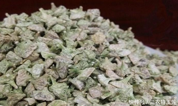 农民|此种黄花野草,果子粘人,被农民当成害草,却不知是清肝明目良药