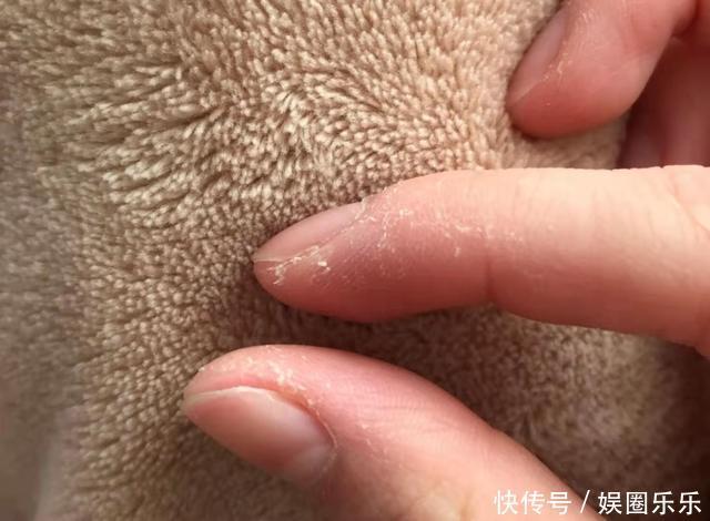 蜡菊|我们还能买到欧舒丹吗