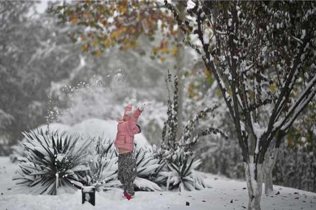 北京市|多路直击北京降雪