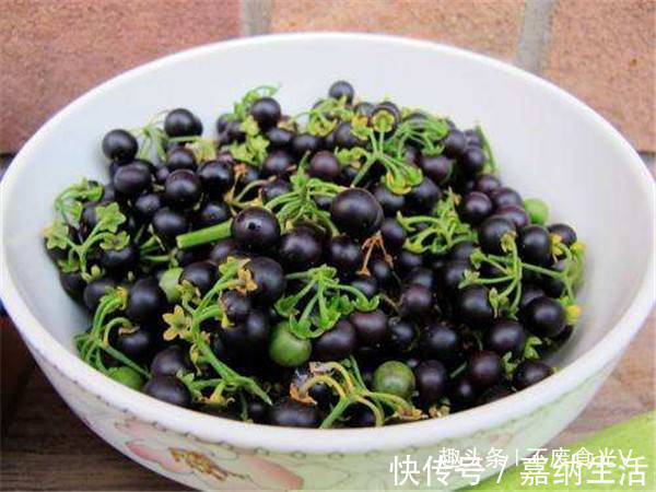 小时候|农村路边的“黑星星”,小时候总吃,专家却说不能吃,值得了解!