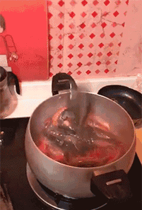 |搞笑GIF: 姐姐 你能矜持点吗