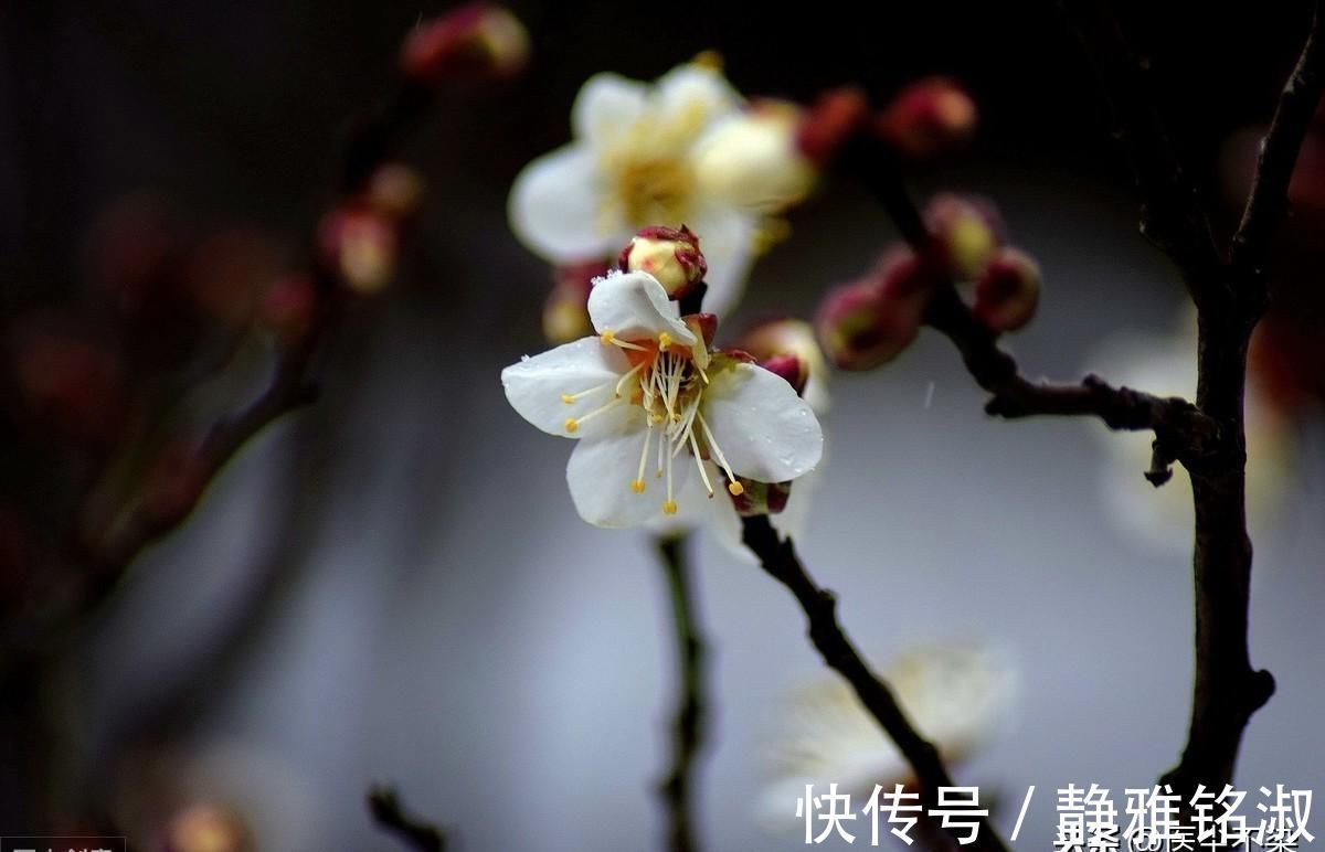 肠鸣腹泻|脾虚了,天天肠鸣腹泻不消化,十年的旧疾能治好吗试试这个经验