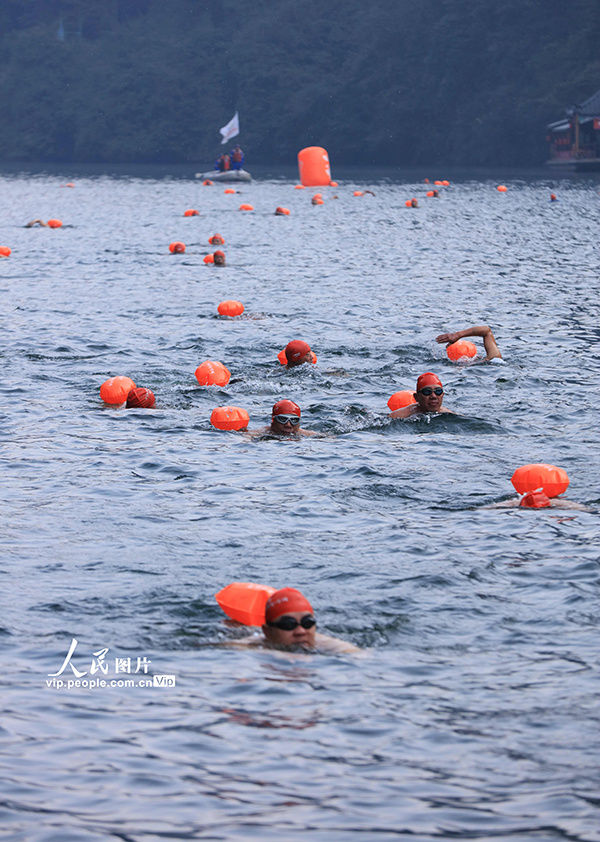 爱好者|湖南张家界：冬泳爱好者逐浪山水间