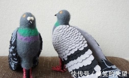 女子|女子踩着一对“鸽子”行走，引发众人热议，原因却让人哭笑不得