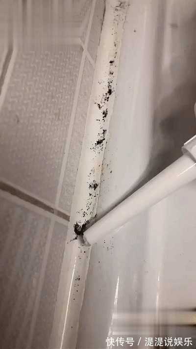 防臭地漏|装过2套房才敢告诉你,卫生间装上这8样东西,是真的非常好用