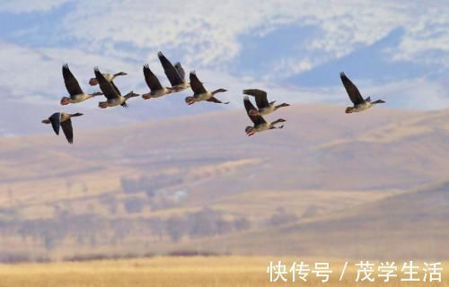 李煜&李煜水平很高的一首词,全文无一“怨”字,却句句有怨意