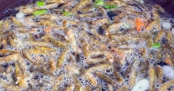 河里这种“虎皮纹”小鱼,煮汤比鲫鱼鲜美,如今几乎绝迹