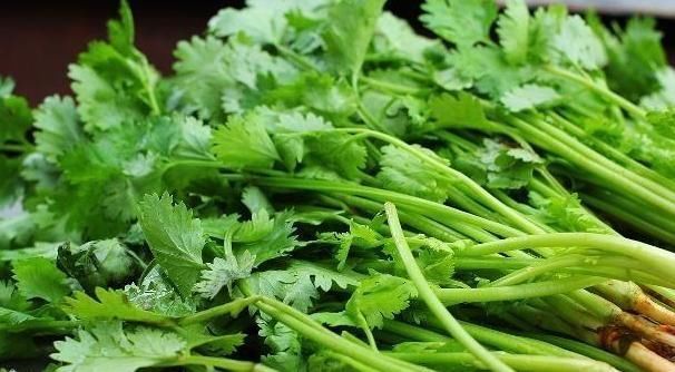 “清水煮一宝,病症马上好”,吃一口,养肾护肝、健脾养胃全搞定