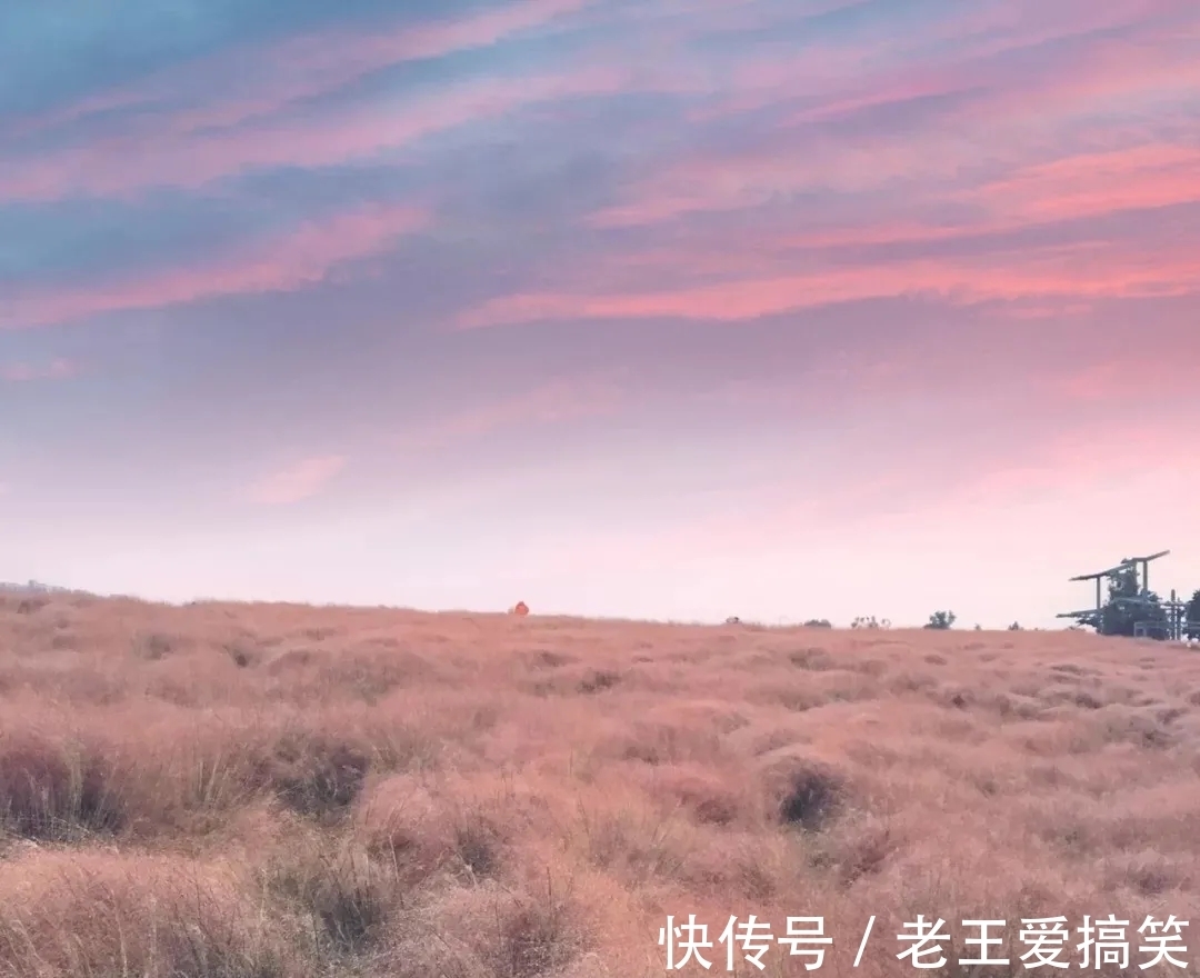 秋色|雨后的西安，值得期待