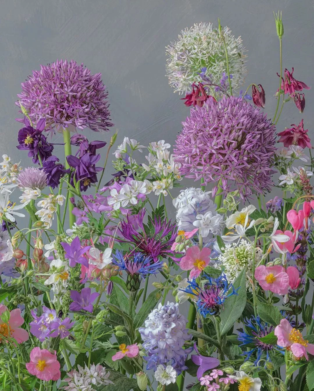 天下风物——《【平凡英雄非凡力量】诗韵咏合》风光题照