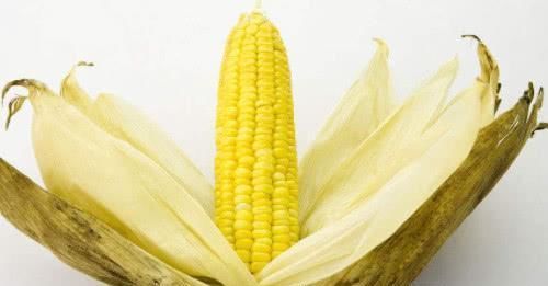 子宫肌瘤“最怕”的几种食物, 每天吃一点, 帮你活血化瘀消肌瘤