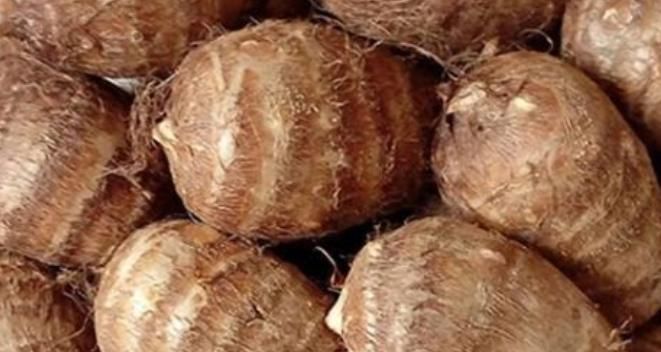 肠道健康|地下人参你知道是什么吗?,真正的护脾王,养脾胃,建议老人多吃