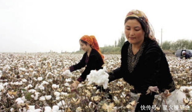 鞋企|继H&M耐克后,美国第二大鞋企抗住考验,去年在华赚184亿