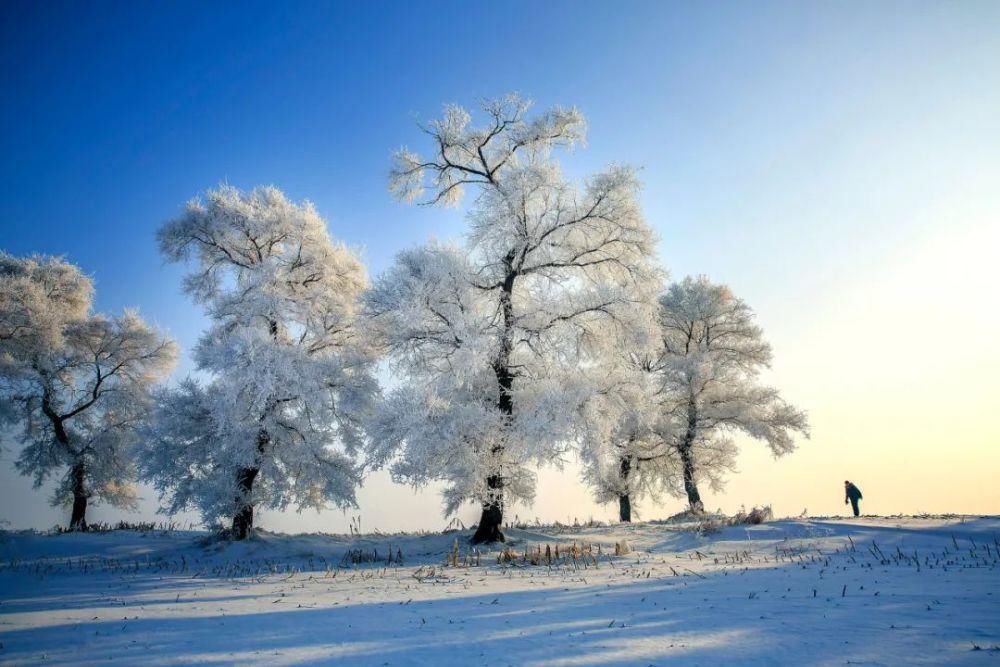 最北|12月必去的18个高性价比旅行地，欠自己的旅行，一定要还给自己！