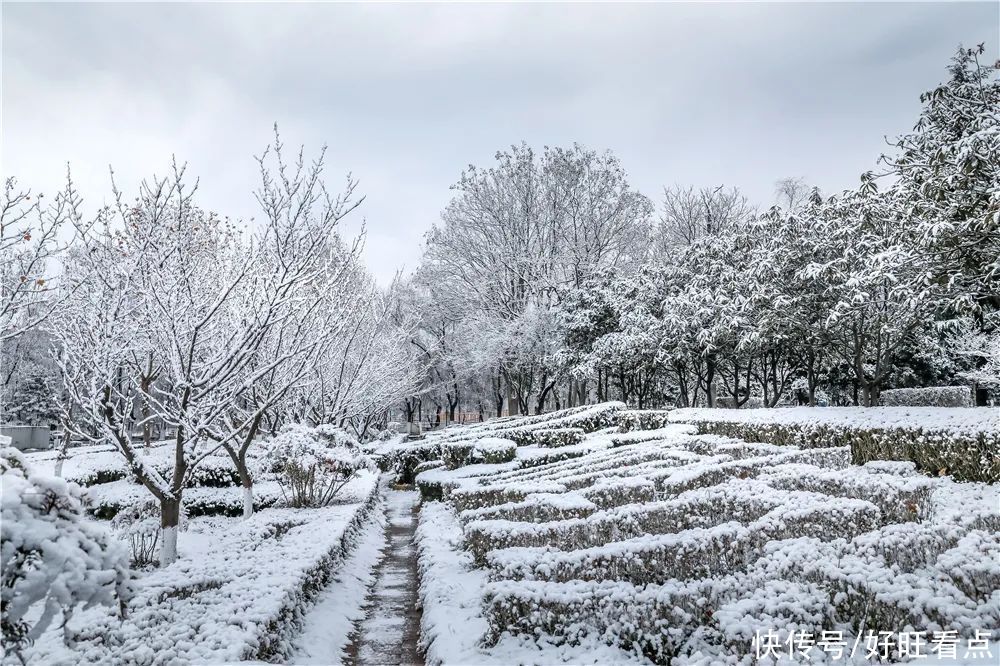 西安翻译学院：银装素裹雪景美如画