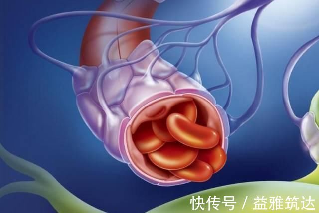 甘油三酯|血脂高的人，谨记早上三戒，晚上三坚持，有效降血脂防血栓