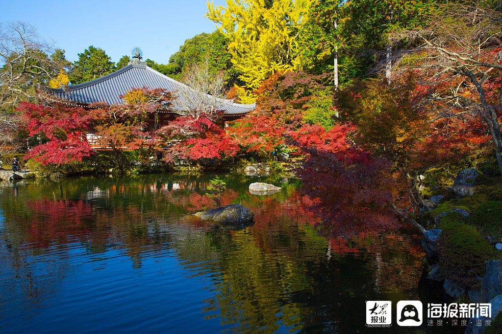 京都|京都醍醐寺内秋景美不胜收