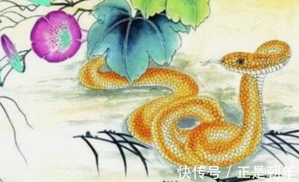 属羊|11月29-12月8日，属羊、属猪、属蛇运势攻略，前途光明，事业腾飞