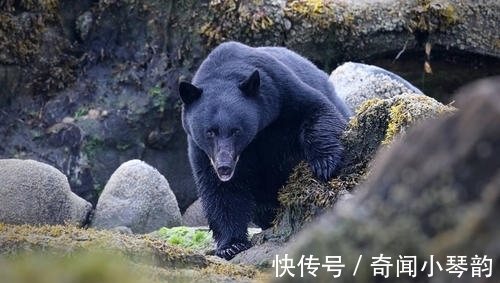 13条奇葩冷知识,有趣又好玩,满足自己的猎奇心理