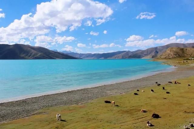 「又见山南」山南11个国家A级景区，你去过多少？