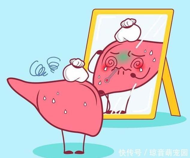 “三白”伤肝,尽量少吃,“三红”养肝,多多益善,你知道多少