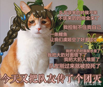 队友|王者荣耀：开局你最不希望看到队友秒选哪些英雄？