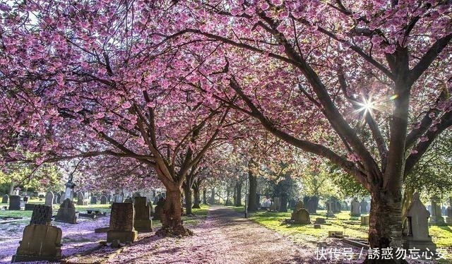 哀愁|李煜流传最广的五首词,每首都是词中经典,写尽亡国之君的哀愁