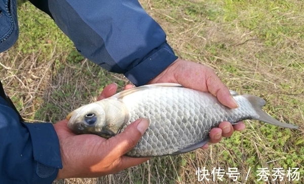 节气|冬季钓鱼,久坐无鱼咬钩,其实未必是天冷,原因更可能是这些!