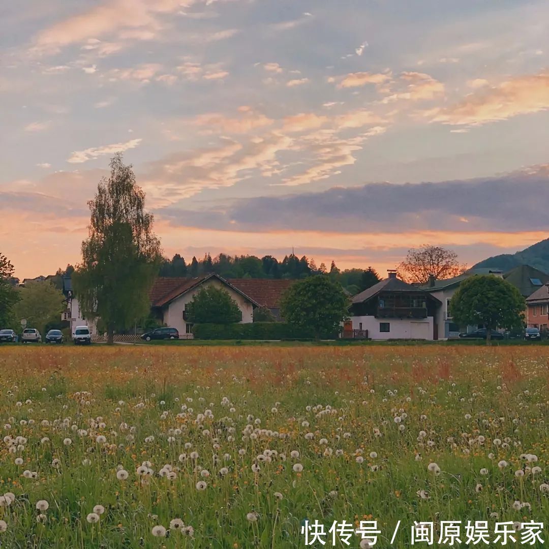 村上春树|神仙·封面丨高情已逐晓云空，不与梨花同梦