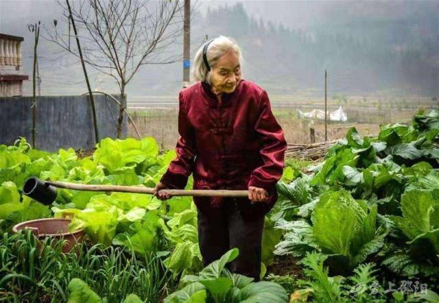 凌志军|44年前患癌,之后癌症复发3次,现93岁身体健康!抗癌有“4妙招”