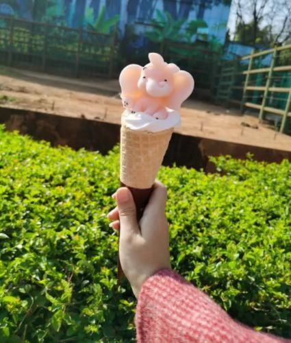 大年初一开门红 昆明动物园迎来31802名游客