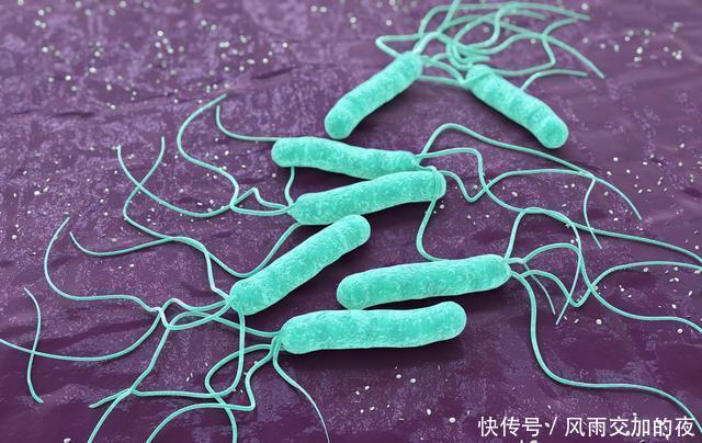 養(yǎng)胃|吃小米粥能養(yǎng)胃醫(yī)生真正能養(yǎng)胃的,或是2個(gè)''好習(xí)慣''