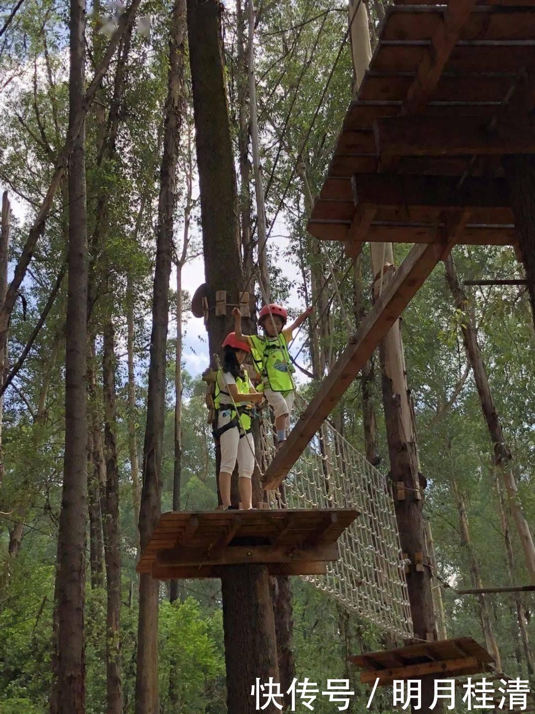亲子大作战飞越丛林、默契考验……桥南街萌娃和父母户外拓展,尽享天伦之乐