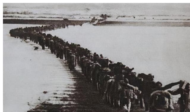 苏联|1950年朝鲜苏联都以为胜券在握，毛主席却让十三兵团加紧准备