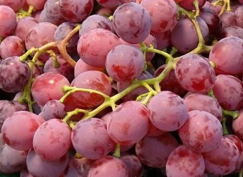 排毒养颜|女性都在吃3种食物,排毒养颜,延缓衰老,好处多多