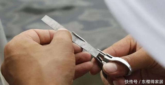 钓了这么多年,才知道调漂要这样弄,找底快上鱼也快,不会的来看