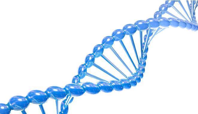 预警|乳房的3个变化可能是乳腺癌的预警,4类女性是乳腺癌的高发人群