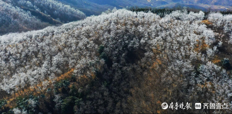 济南南山雨后奇观：九如山呈现大面积洁白雾凇