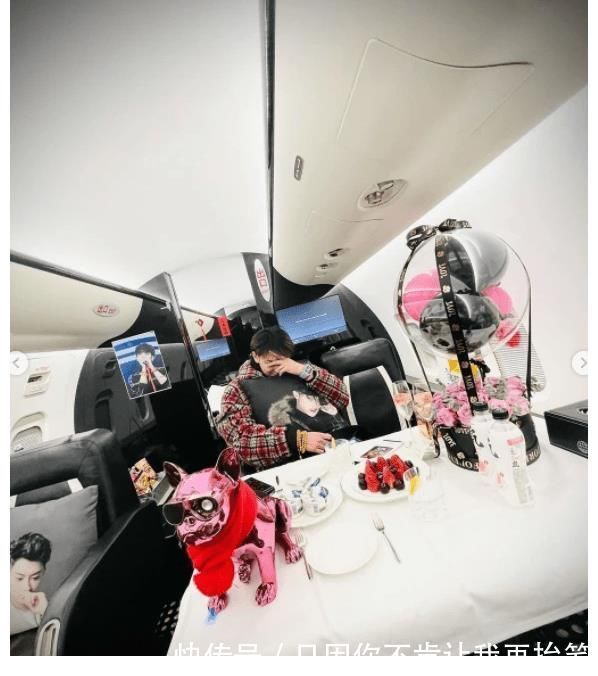黄子韬高调晒私人飞机，在高空享受牛排大餐，宠物狗独享豪华座椅