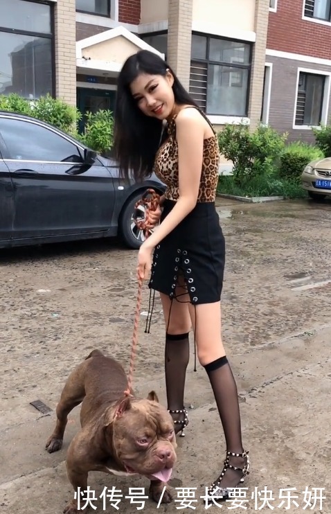 气质|美女你野性的气质跟这条霸气的狗很搭配!