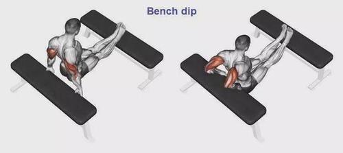 弯杆|最全的肱二三头肌训练图解,漂亮手臂必备!